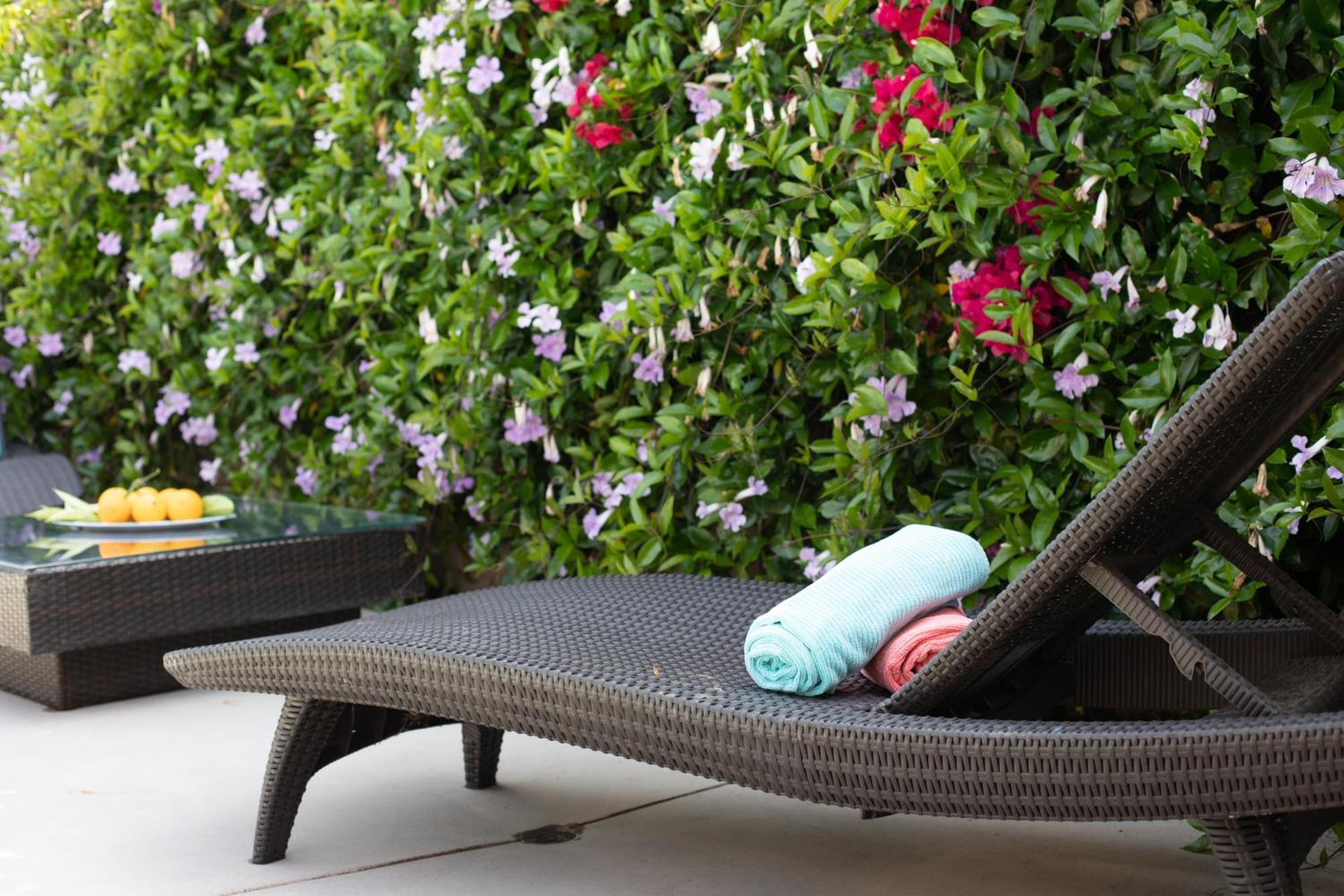 Oasis With Pool And Music Studio By Benvenu Los Angeles Bagian luar foto